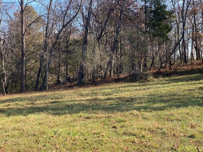 Cattle Farm, Home Building Sites & Mini-Farms For Sale - image 15