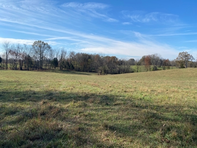 Cattle Farm, Home Building Sites & Mini-Farms For Sale - image 21