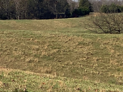 Cattle Farm, Home Building Sites & Mini-Farms For Sale - image 7