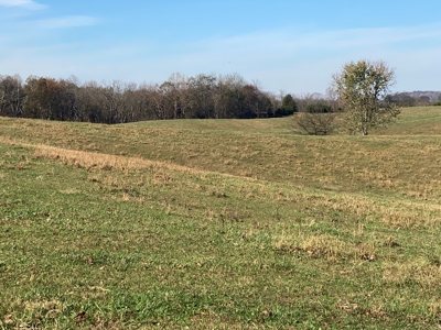 Cattle Farm, Home Building Sites & Mini-Farms For Sale - image 8