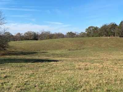 Cattle Farm, Home Building Sites & Mini-Farms For Sale - image 22