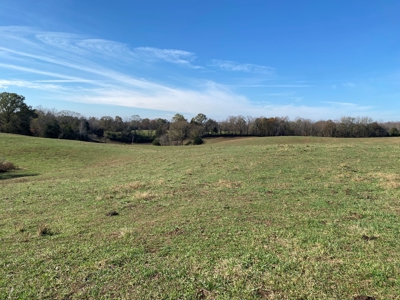 Cattle Farm, Home Building Sites & Mini-Farms For Sale - image 32