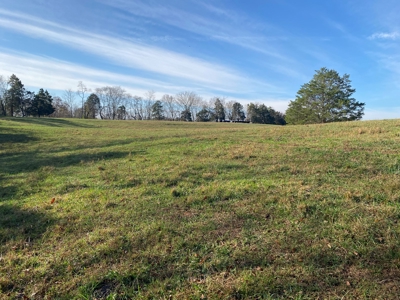 Cattle Farm, Home Building Sites & Mini-Farms For Sale - image 39