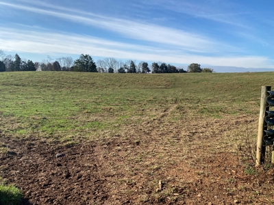 Cattle Farm, Home Building Sites & Mini-Farms For Sale - image 41
