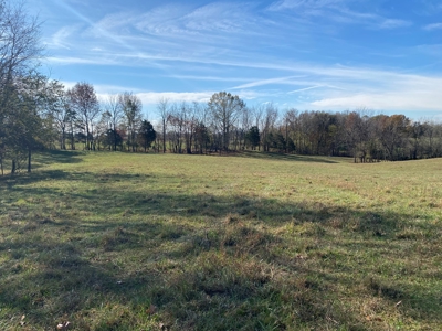 Cattle Farm, Home Building Sites & Mini-Farms For Sale - image 20