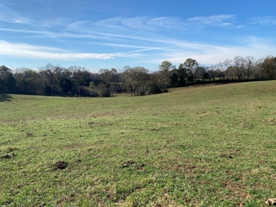 Cattle Farm, Home Building Sites & Mini-Farms For Sale - image 30