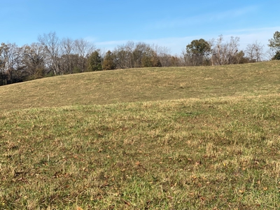 Cattle Farm, Home Building Sites & Mini-Farms For Sale - image 14