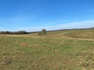 Cattle Farm, Home Building Sites & Mini-Farms For Sale - image 25