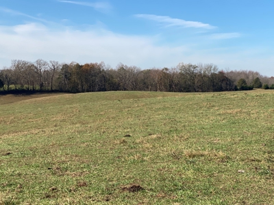Cattle Farm, Home Building Sites & Mini-Farms For Sale - image 3