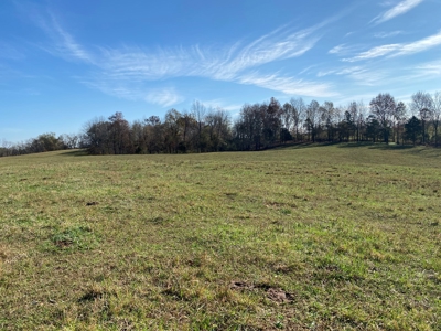 Cattle Farm, Home Building Sites & Mini-Farms For Sale - image 18