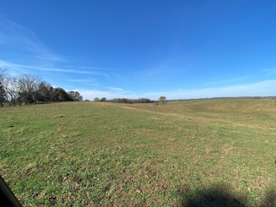 Cattle Farm, Home Building Sites & Mini-Farms For Sale - image 6