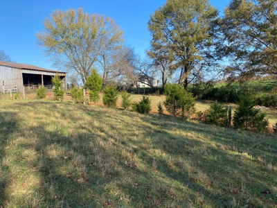 Cattle Farm, Home Building Sites & Mini-Farms For Sale - image 40