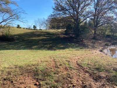 Cattle Farm, Home Building Sites & Mini-Farms For Sale - image 37