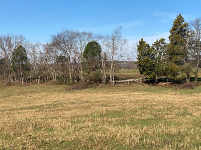 Cattle Farm, Home Building Sites & Mini-Farms For Sale - image 12