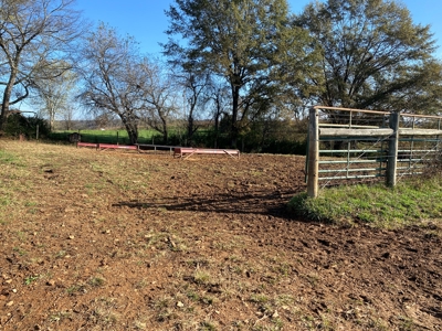 Cattle Farm, Home Building Sites & Mini-Farms For Sale - image 43