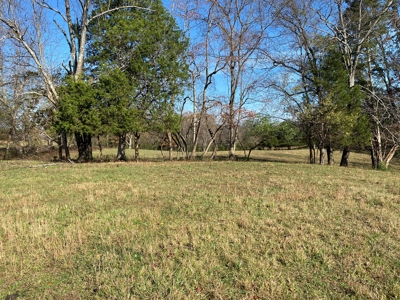 Cattle Farm, Home Building Sites & Mini-Farms For Sale - image 24