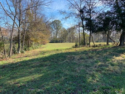 Cattle Farm, Home Building Sites & Mini-Farms For Sale - image 27