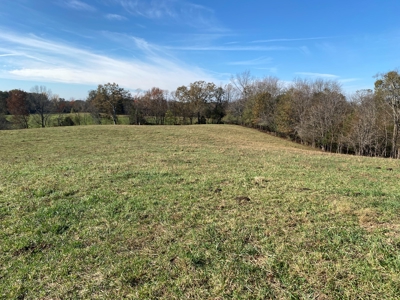 Cattle Farm, Home Building Sites & Mini-Farms For Sale - image 19