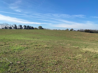 Cattle Farm, Home Building Sites & Mini-Farms For Sale - image 33