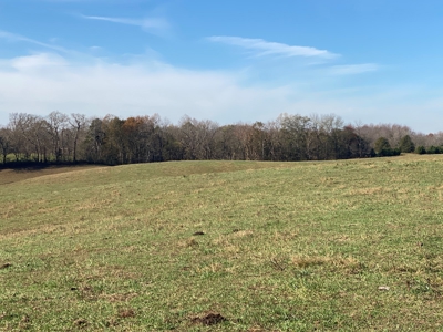 Cattle Farm, Home Building Sites & Mini-Farms For Sale - image 4