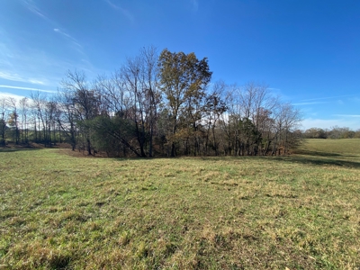 Cattle Farm, Home Building Sites & Mini-Farms For Sale - image 23