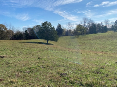Cattle Farm, Home Building Sites & Mini-Farms For Sale - image 28