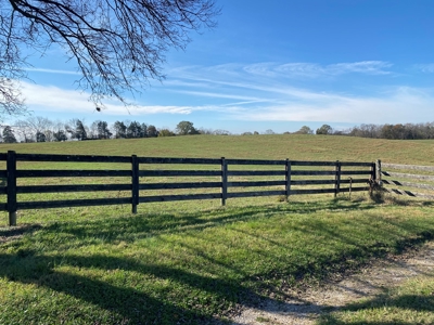 Cattle Farm, Home Building Sites & Mini-Farms For Sale - image 34