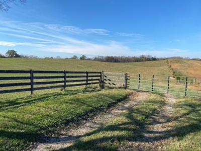 Cattle Farm, Home Building Sites & Mini-Farms For Sale - image 35