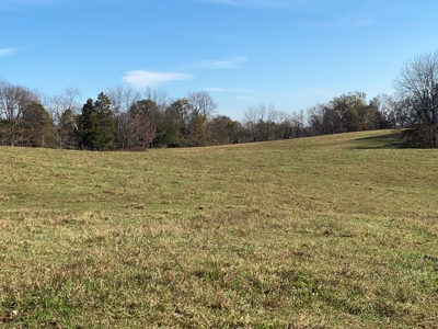 Cattle Farm, Home Building Sites & Mini-Farms For Sale - image 16