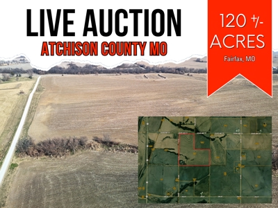 The Freeman Hedrick Family Farm Land Auction - image 1