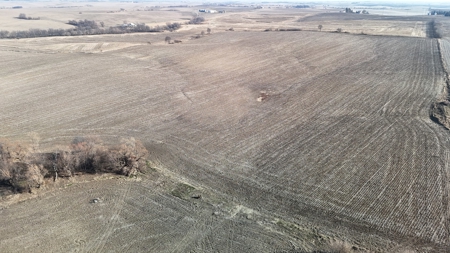 The Freeman Hedrick Family Farm Land Auction - image 4