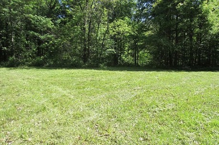 Indiana Hunting Property For Sale | Timberland - image 3