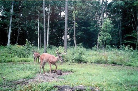 Indiana Hunting Property For Sale | Timberland - image 35