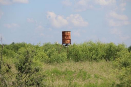 Texas Cattle Ranch/ Hunting Ranch For Auction - image 11