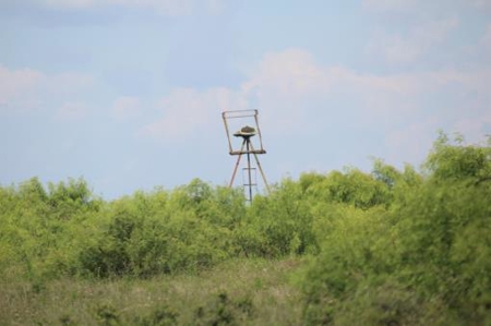 Texas Cattle Ranch/ Hunting Ranch For Auction - image 83