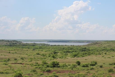 Texas Cattle Ranch/ Hunting Ranch For Auction - image 73