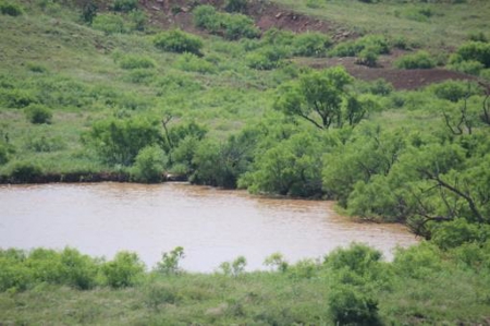 Texas Cattle Ranch/ Hunting Ranch For Auction - image 49