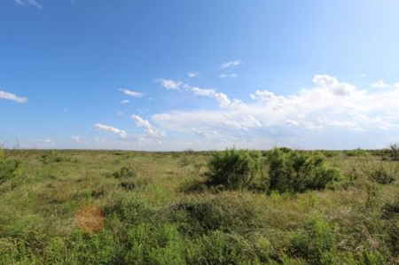 Texas Cattle Ranch/ Hunting Ranch For Auction - image 60