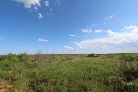 Texas Cattle Ranch/ Hunting Ranch For Auction - image 30