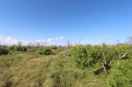 Texas Cattle Ranch/ Hunting Ranch For Auction - image 41