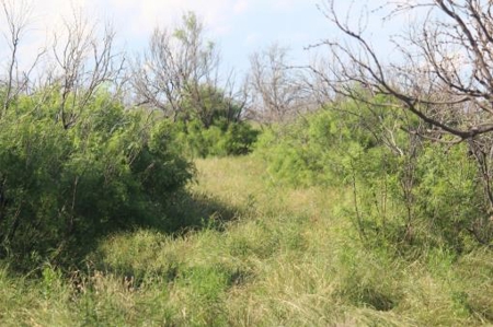 Texas Cattle Ranch/ Hunting Ranch For Auction - image 47