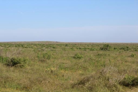 Texas Cattle Ranch/ Hunting Ranch For Auction - image 78