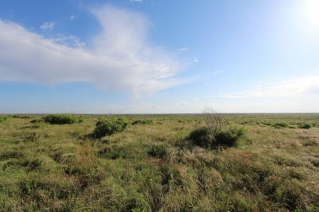 Texas Cattle Ranch/ Hunting Ranch For Auction - image 27