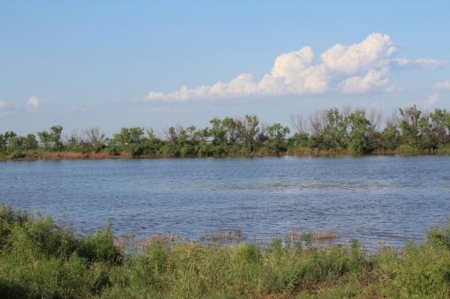 Texas Cattle Ranch/ Hunting Ranch For Auction - image 16