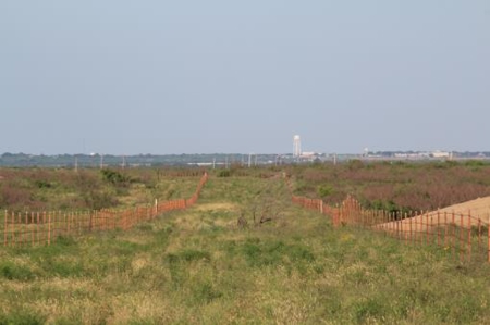 Texas Cattle Ranch/ Hunting Ranch For Auction - image 53