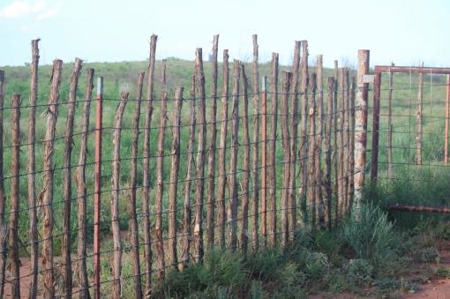 Texas Cattle Ranch/ Hunting Ranch For Auction - image 54