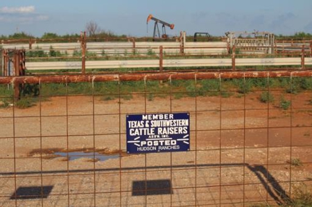 Texas Cattle Ranch/ Hunting Ranch For Auction - image 51