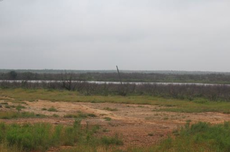 Texas Cattle Ranch/ Hunting Ranch For Auction - image 71
