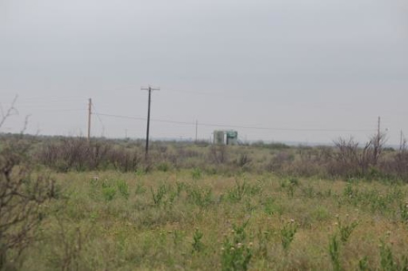 Texas Cattle Ranch/ Hunting Ranch For Auction - image 69
