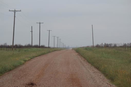 Texas Cattle Ranch/ Hunting Ranch For Auction - image 5